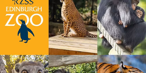 Edinburgh Zoo