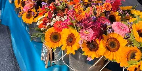JZ Flowers at the Medina Farmers Market: Medina Fall Festival