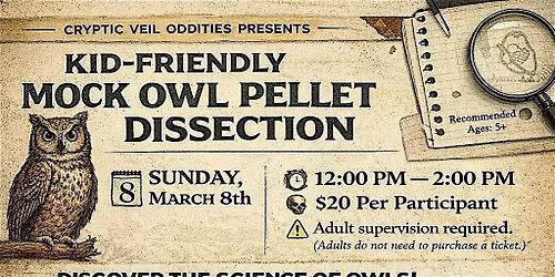 Kid Friendly Mock Owl Pellet Dissection
