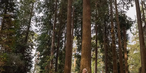 Forest Bathing at Bedgebury Pinetum 