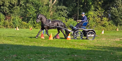 Dressuur en vaardigheids-oefenparcours