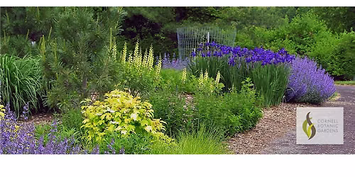 Get to Know the Arboretum: Tour a Trio of Gardens