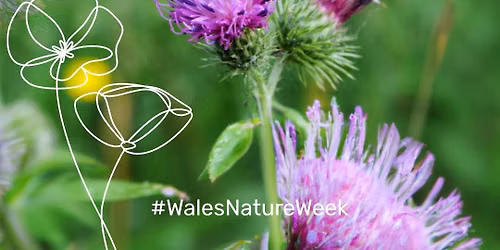 Cardiff Nature Festival 2026