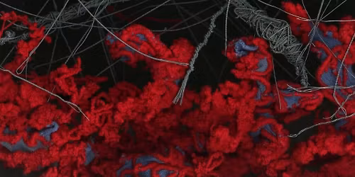 Ewan Coombs | Heidi Lucca-Redcliffe: PULP