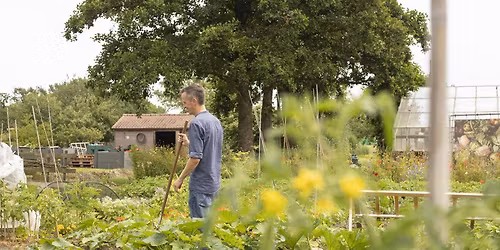 Basiscursus ecologisch moestuinieren