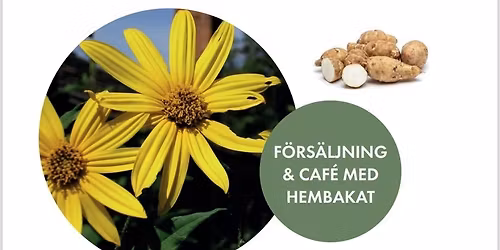 Jord\u00e4rtskocksmarknad 