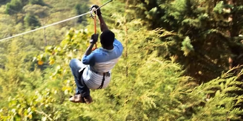 Adventure the forest