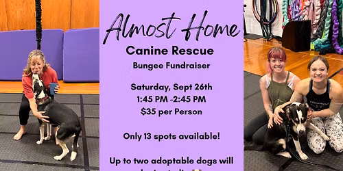 Almost Home Canine Rescue: Bungee Fundraising Event