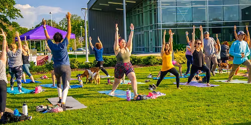 International Yoga Day