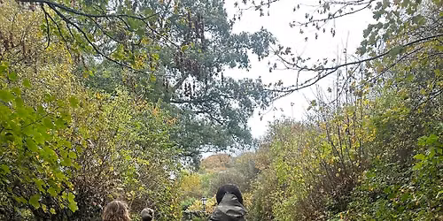 Solo with Dog Holiday 