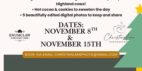 Christmas Cow Mini Photoshoot