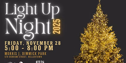 2025 Light Up Night Festival