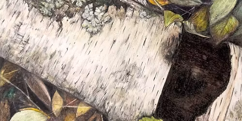 The Intentional Gaze Artist Meet & Greet 