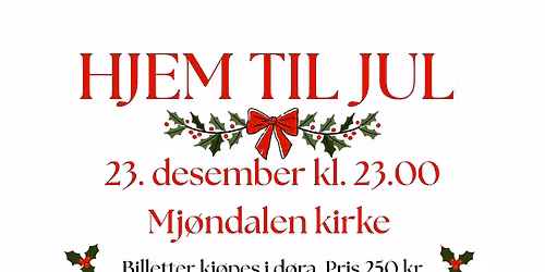 Hjem til jul