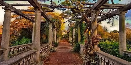 The London Vampire Hamstead Alternative Solstice Picnic