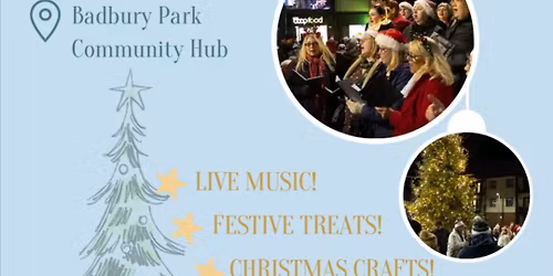 Badbury park Christmas Tree Light Switch On 2025