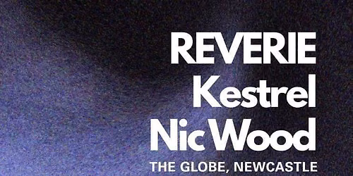 AELIUS RISING #4: REVERIE, Kestrel, and Nic Wood