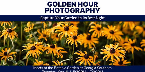 Garden Series: Golden Hour Photography