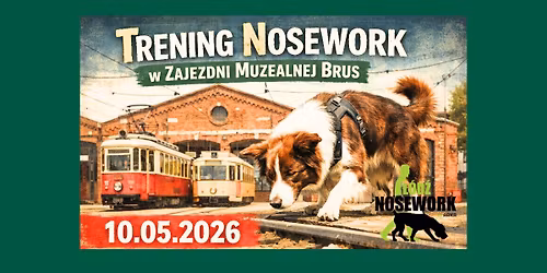Otwarte przebiegi treningowe nosework w Zajezdni Muzealnej 