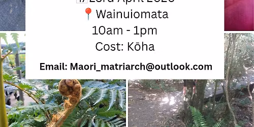 Introduction to R\u014dngoa M\u0101ori 