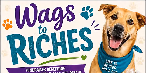 Wags to Riches