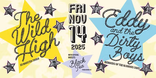 **THE WILD HIGH** LIVE IN CONCERT