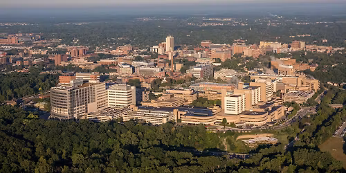 Bowling for Camp Michitanki