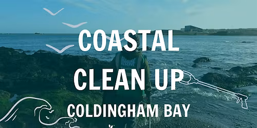 Coastal Clean Up - Coldingham Bay