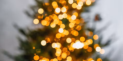 Juletr\u00e6st\u00e6nding i 9220