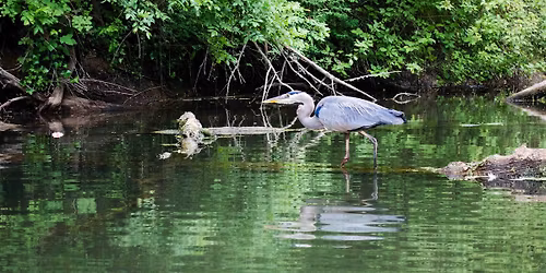 Tualatin Watershed Science Symposium\u2014 Headwaters to Confluence