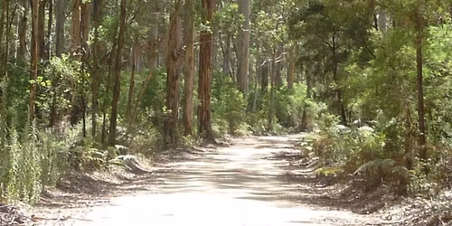 The Way of Meditation