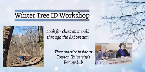 Winter Tree ID Workshop