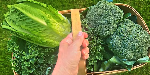 McGirk Farm Stand Grand Opening