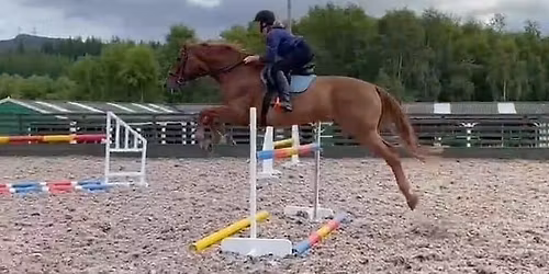 Introduction to Equine Assisted Services