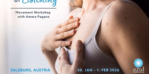 AZUL Workshop in Salzburg