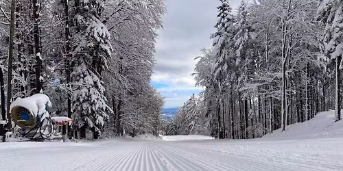 10. SKLEPNI pub kviz