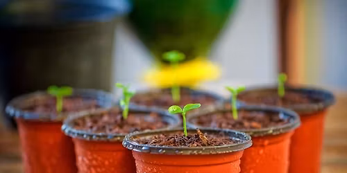 S\u00e5 et fr\u00f8 og opdag lykken ved at se noget gro