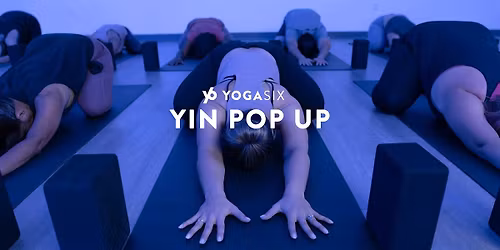Yin Pop-Up 12\/18