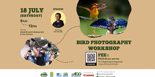 PHF2026: Bird Photography Workshop