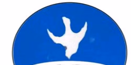 THE GLORY OF THE SON OF GOD