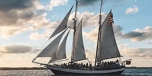 Fins & Freedom Dolphin Sail