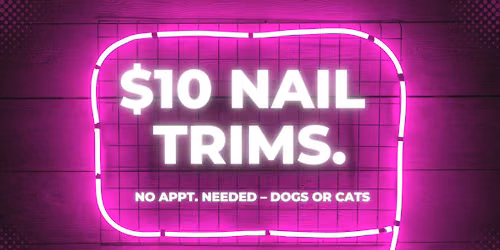 $10 Nail Trims | Dogs & Cats | Hosted by Purrrfect Bark | 11a-1pm on 1st Saturday of Month!