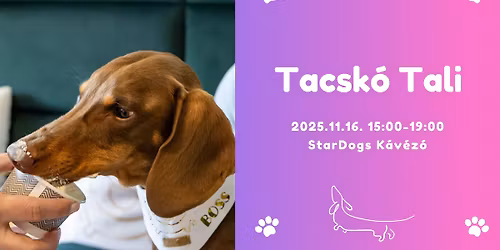 Tacsi Tali a StarDogs-ban