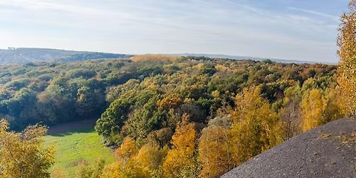 Marche Ext\u00e9rieure (terril de Pinchonvalles)