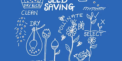 The Craft of Seed Saving