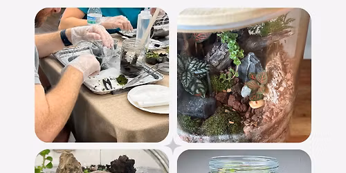 Terrarium Workshop! Unique and Special. 