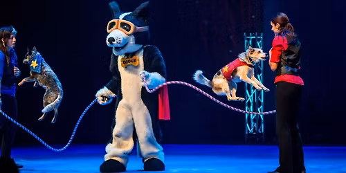 The Perondi\u2019s Stunt Dog Experience