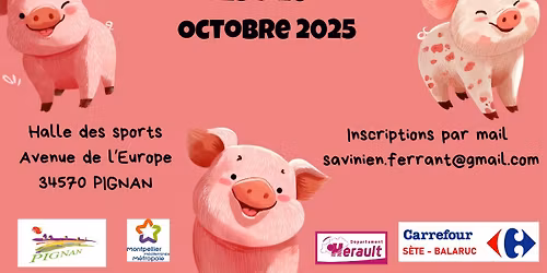 BadPigTeam VI