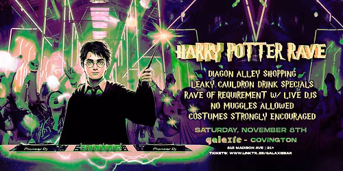 Harry Potter Rave
