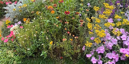 Christmas wishing free